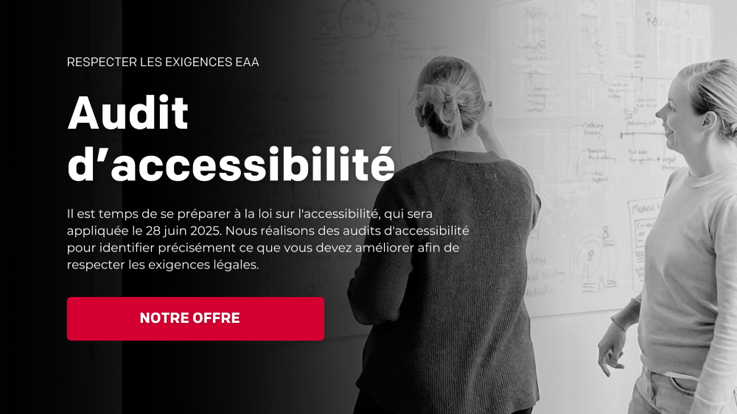 Accessibilty Audit FR