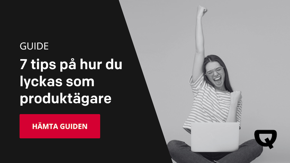 [SE] CTA - DL - GUIDE - Produktägare