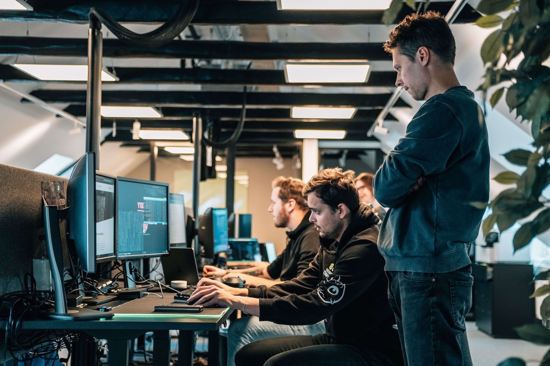 People in an office in front of computers