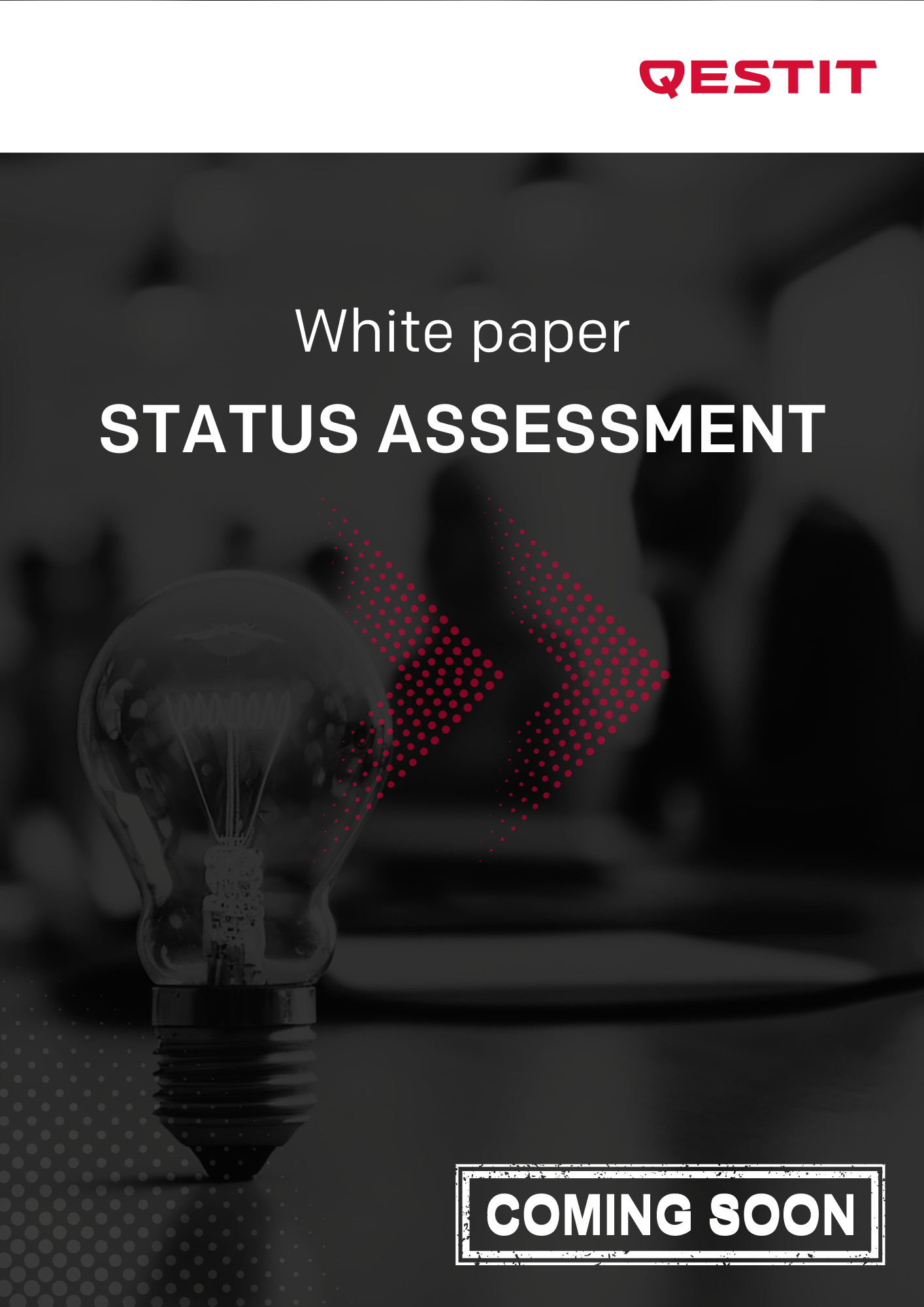 PH_lp_[EN]_White paper status assessment