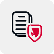 icon-security_governance