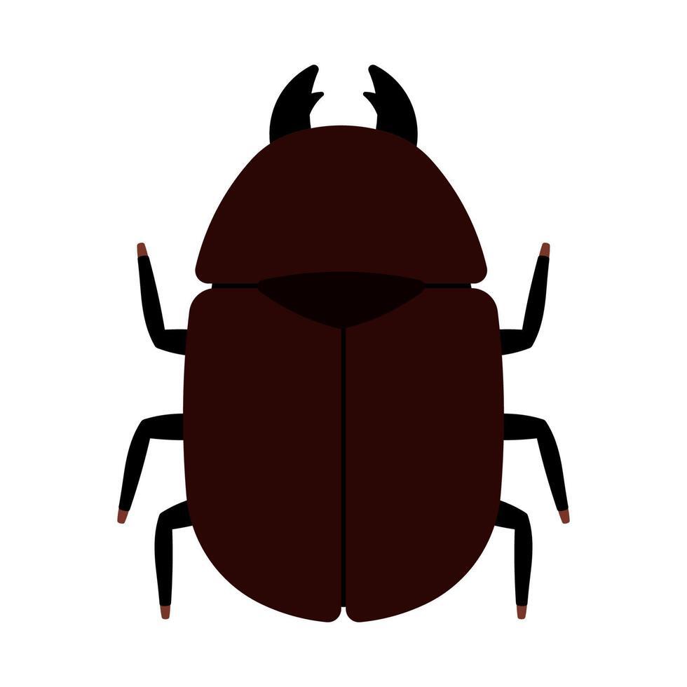 competition_fair_bug
